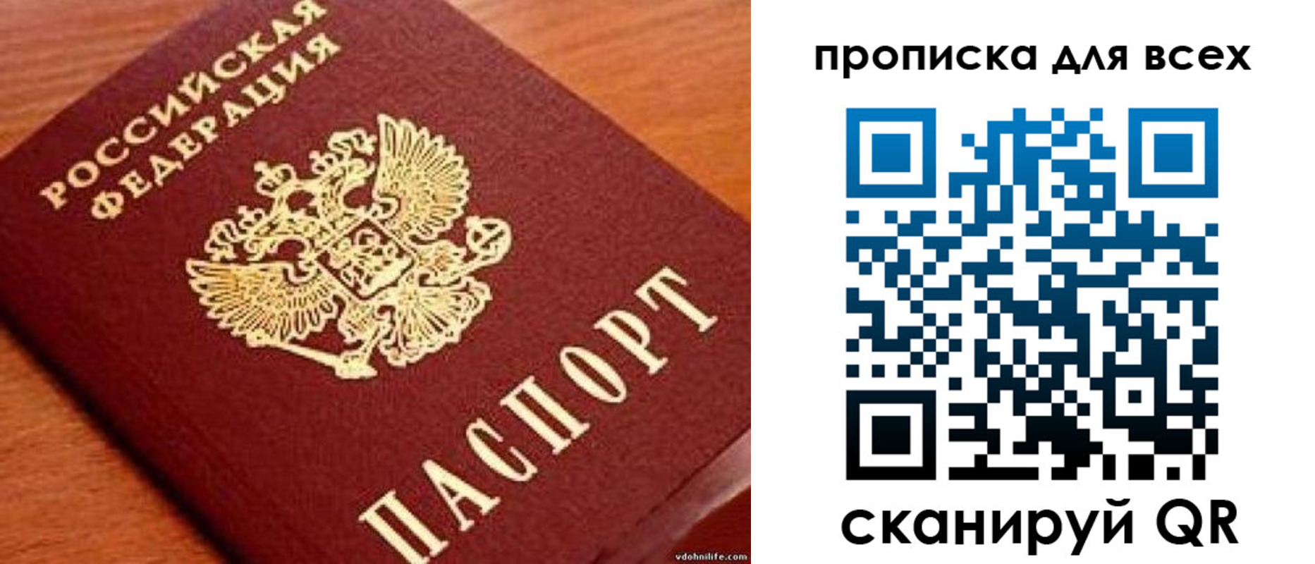 где прописаться в Белгородской области